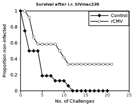 recombinantviruses_032009_html_48846d22