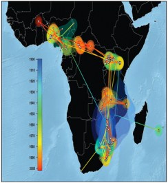 Cover Illustration: J Virol, October 2011, volume 85, issue 20 
