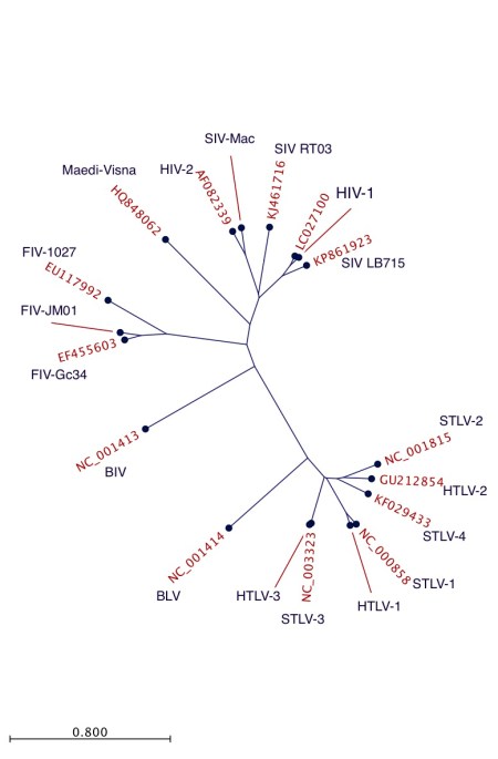 Radial tree for retrovirus complete genome sequences