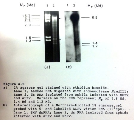 Scan 04 Jan 2014, 16.31-page8