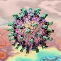 Human rotavirus, in the family Reoviridae. Russell Kightley Media