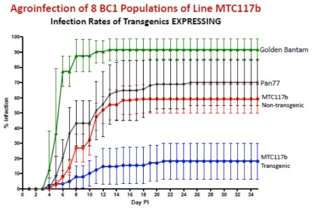 Rybicki_biosci_june_2013_ppt