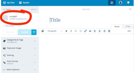 New_Post_‹_mcb9847_—_WordPress_com
